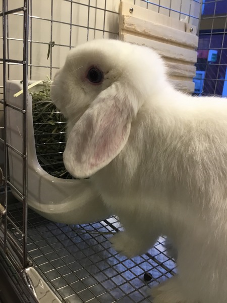 A9B442B4-F2A0-47F0-8D9C-9F5A13C2C709