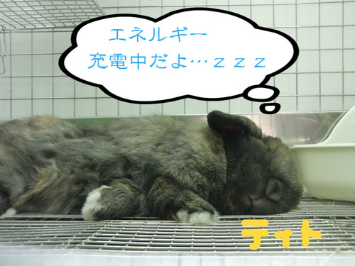 BlogPaint