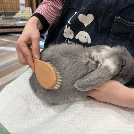 豚毛ブラシOC‐19