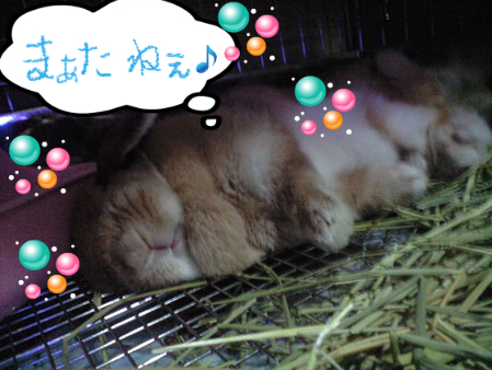 BlogPaint