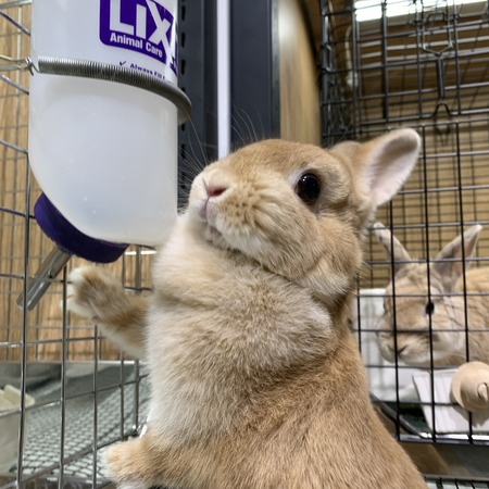 27646DD7-9C02-4831-BD15-5CC23BB6B85E