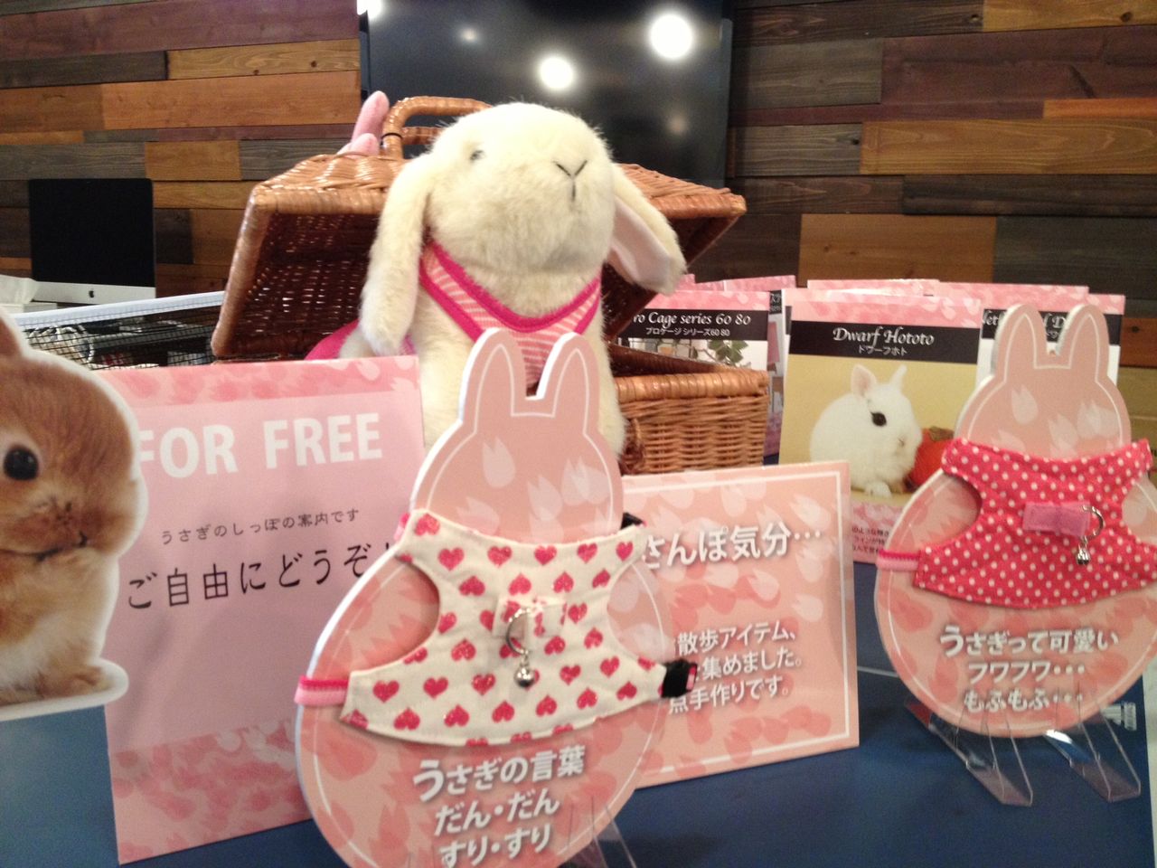 うさぎブログ うさぎのしっぽ公式ブログ 日々しっぽ 春はうさんぽ気分 In 新宿マルイ本館 うさぎブログ うさぎのしっぽ公式ブログ 日々しっぽ 春はうさんぽ気分 In 新宿マルイ本館