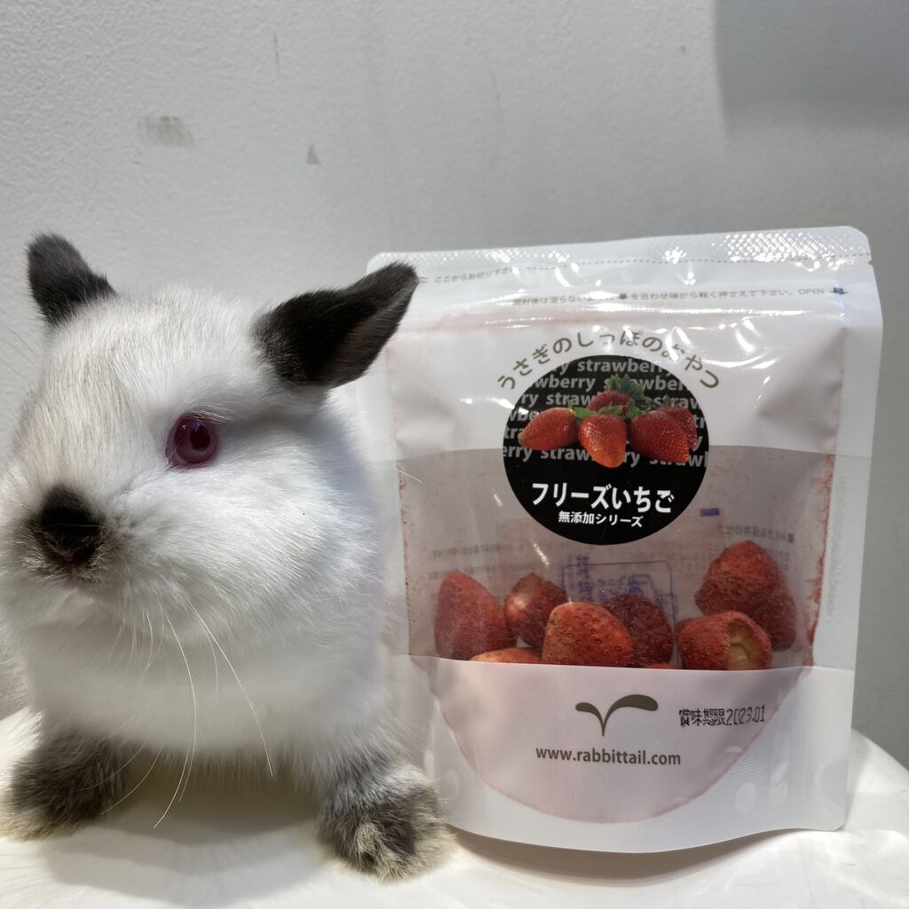 おすすめおやつ : うさぎブログ うさぎのしっぽ公式ブログ「日々しっぽ」