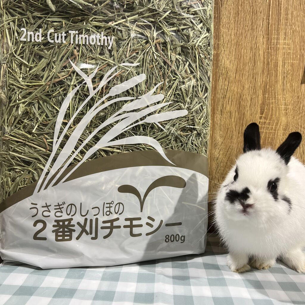 プロケージ60 ブラック　うさぎ用　ケージ　ケージカバー付き　ケージガード付き プロケージ60 ブラック うさぎ用 ケージ ケージカバー付き ケージ