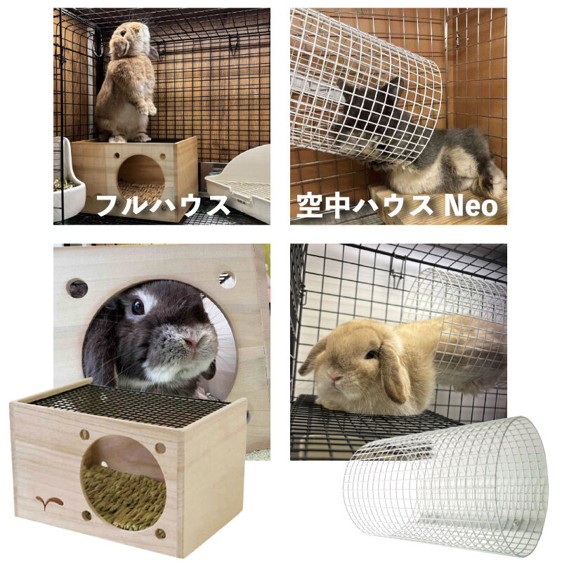 うーさんの日セール2026 : うさぎブログ うさぎのしっぽ公式ブログ