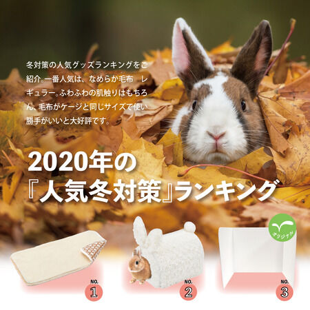 b2d7c62c-s