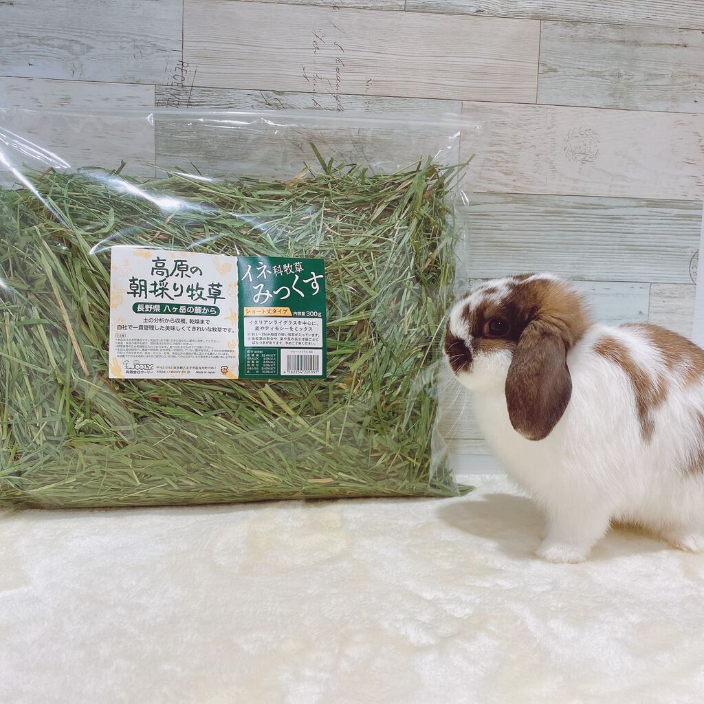 うさぎブログ うさぎのしっぽ公式ブログ 日々しっぽ イネ科牧草みっくす入荷しました