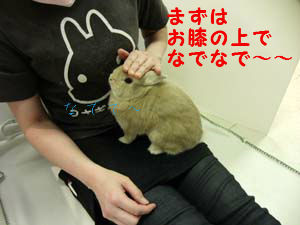 BlogPaint