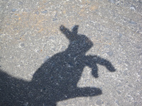 blog-2