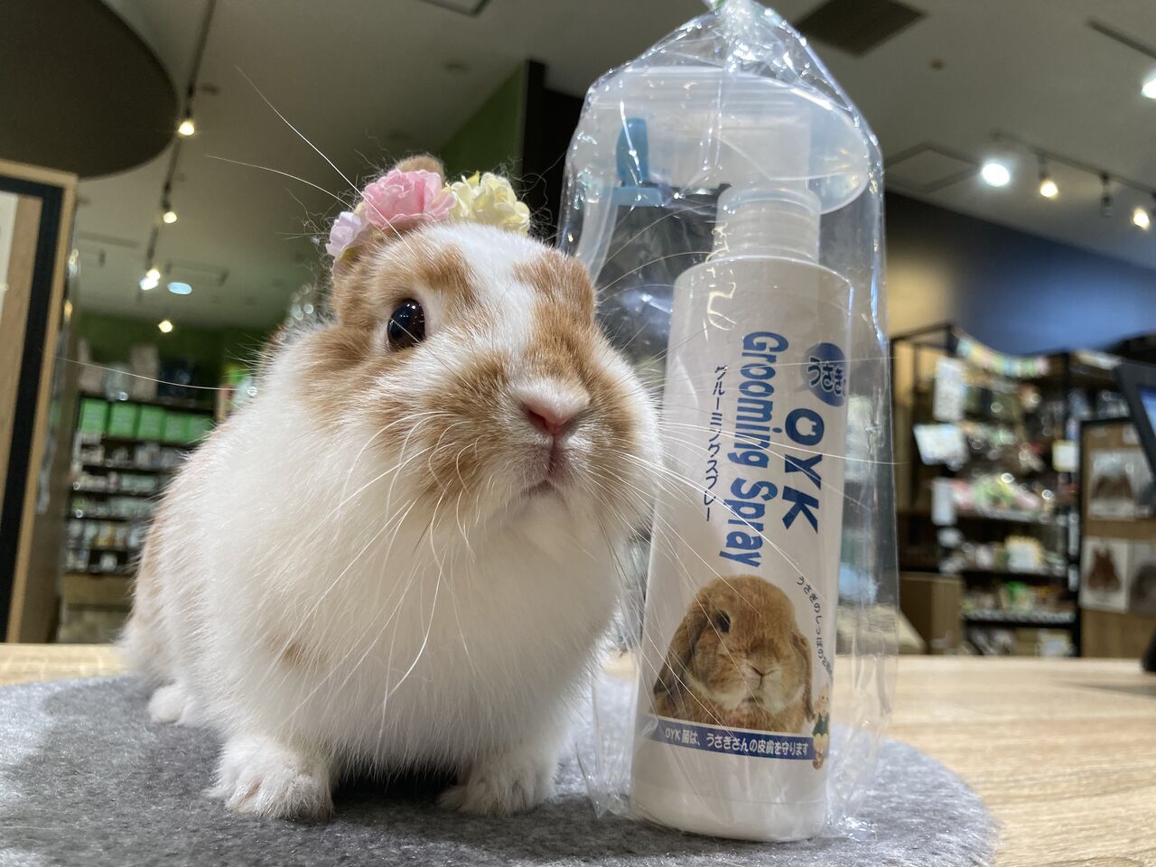 うさぎブログ うさぎのしっぽ公式ブログ 日々しっぽ セール対象商品のご紹介