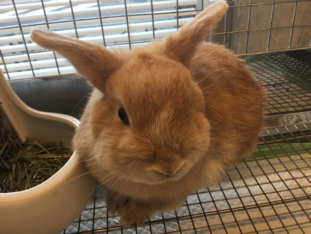 FB73DC80-230F-4E04-BF1E-CD7896330411