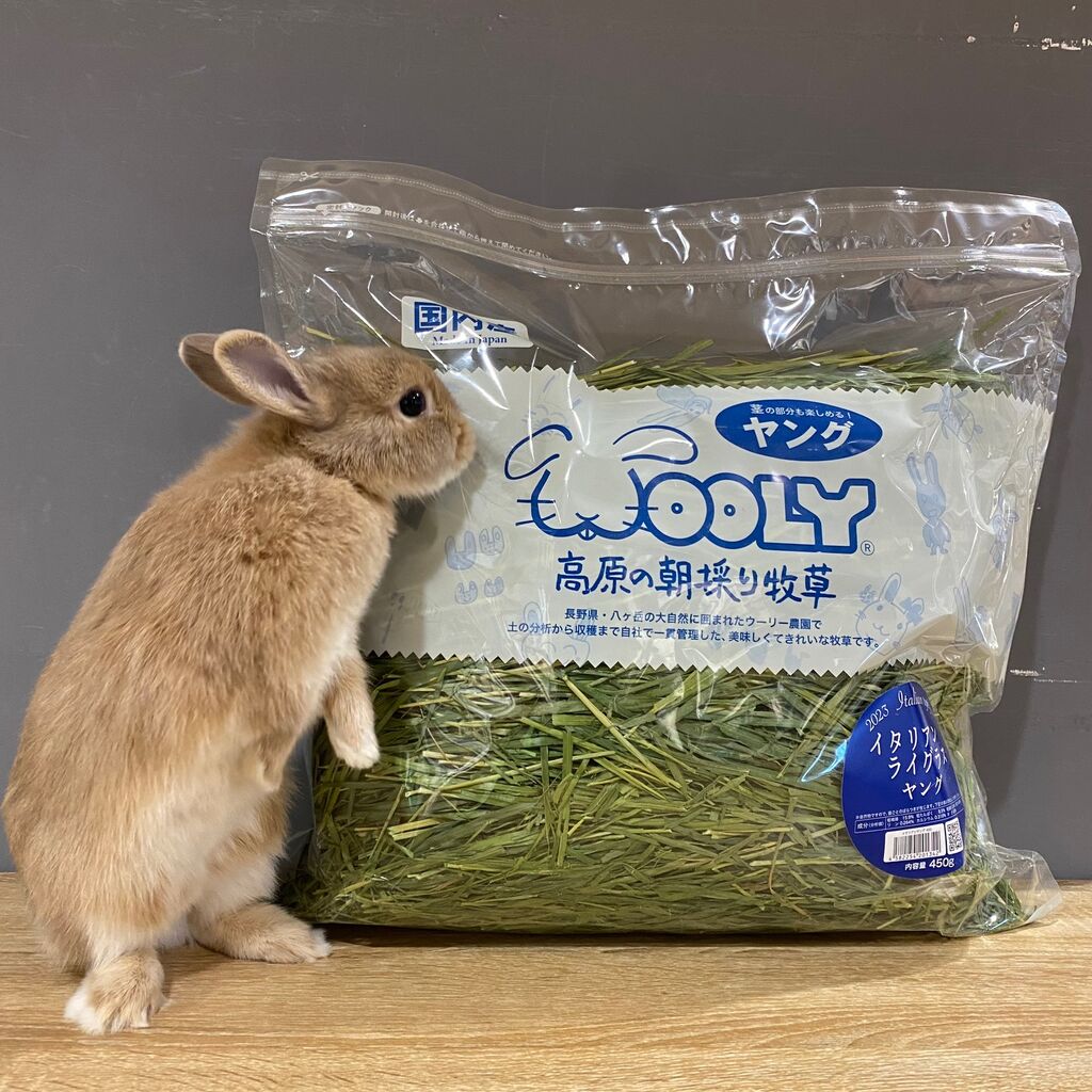 ウーリー　2024年度産 イタリアンライグラス　ヤング　WOOLY 5袋セット イタリアンライグラスヤング - 株式会社ウーリー｜うさぎの食彩工房