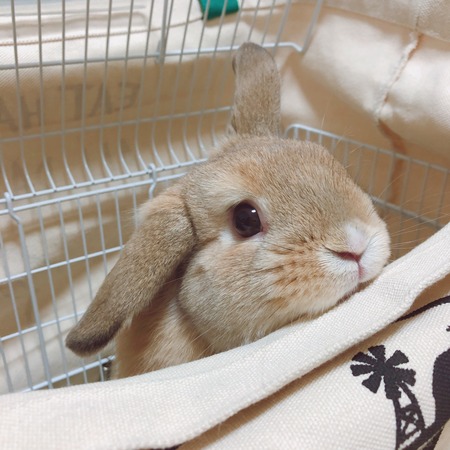 62B568DC-CDA6-4C53-A267-05E44ED11241