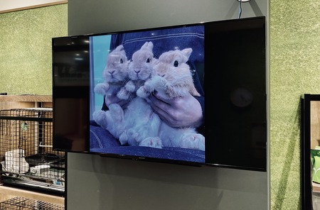 F3F7447E-C16E-41A4-8B1E-2F8F20A45DDE