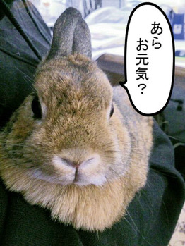 BlogPaint