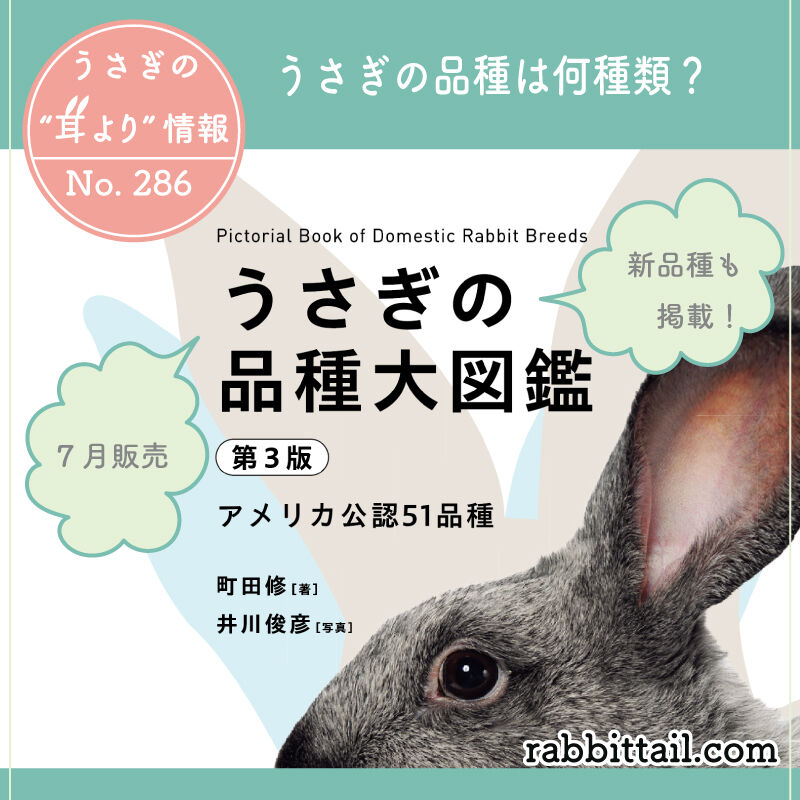 うさぎの耳より情報 No.286 うさぎの品種は何種類？ : うさぎブログ