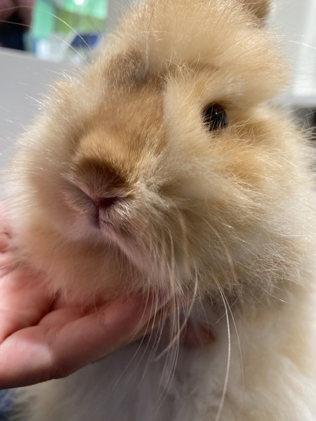 A0694665-9254-45EE-AA24-C2845E4E8330