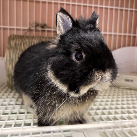 47E7D760-73BF-463A-937B-C801F3544088