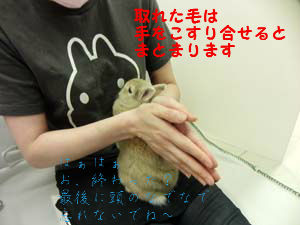 BlogPaint