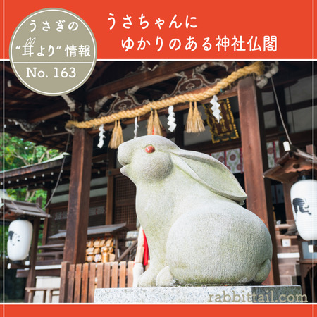 うさぎブログ うさぎのしっぽ公式ブログ 日々しっぽ うさぎの耳より情報 No 163 うさちゃんにゆかりのある神社仏閣