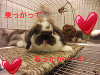 BlogPaint