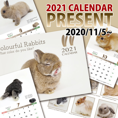 2021calendarpresent-1