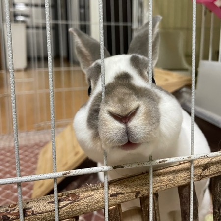 F8E1220F-0A4D-4721-AEB7-9B67A96BE8D4