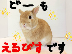 BlogPaint
