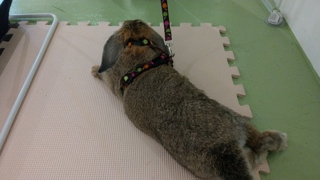 IMAG0276