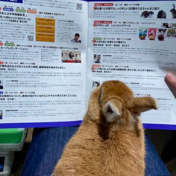 ブログ11月