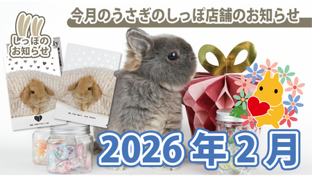2026年2月の店舗イベント