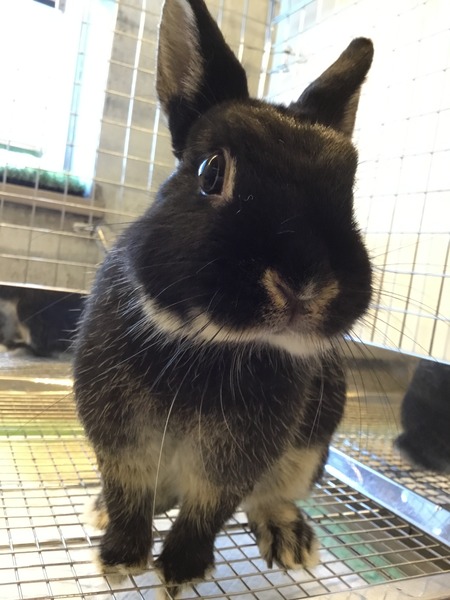 FFD8F496-648C-4D20-BEF7-468786FF9DEB