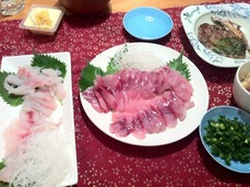 sasimi