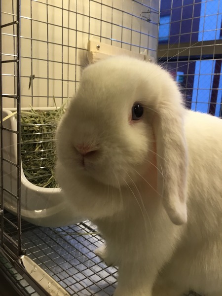 DDB31AB0-36AA-4EB6-8FC8-0E91BF340B62