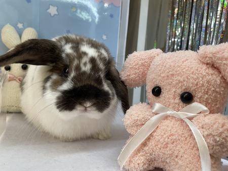 B69C356F-9F3F-4FA2-A5F3-4A938A23D638