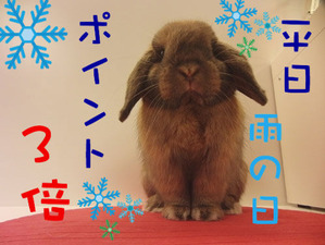 BlogPaint