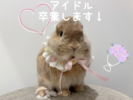 無題133_20251115134459