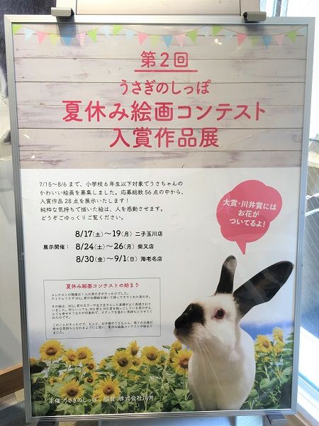 うさぎブログ うさぎのしっぽ公式ブログ 日々しっぽ 夏休み絵画コンテスト 作品展示中 うさぎブログ うさぎのしっぽ公式ブログ 日々しっぽ 夏休み絵画コンテスト 作品展示中