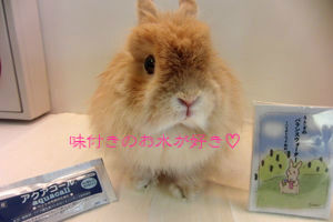 BlogPaint