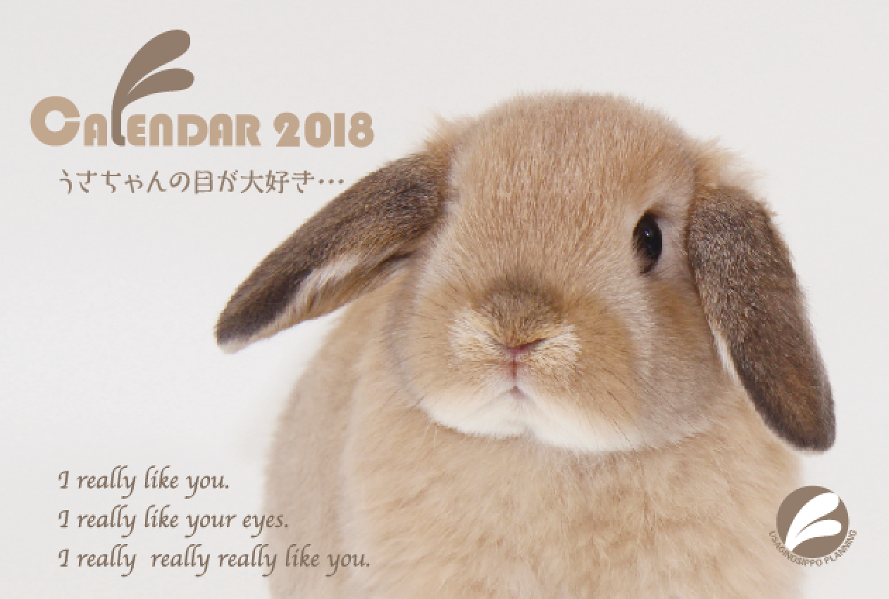 2018年お正月セール-両面卓上カレンダープレゼント : うさぎブログ