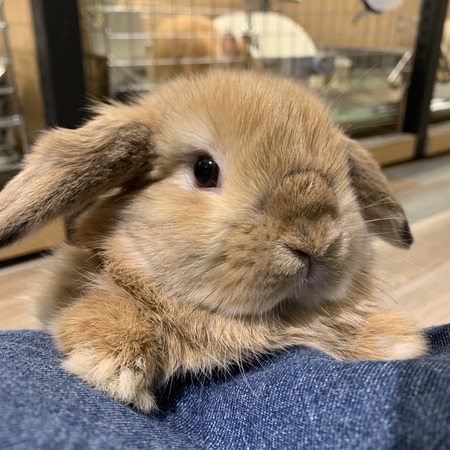 ED0A48F7-A197-4EC4-AD21-CCC549AAD930