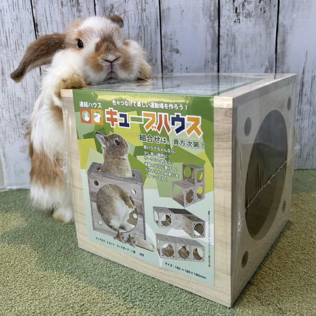 うさぎ まとめ売り 今回のセールは、人気商品が割引です!! : うさぎブログ うさぎ