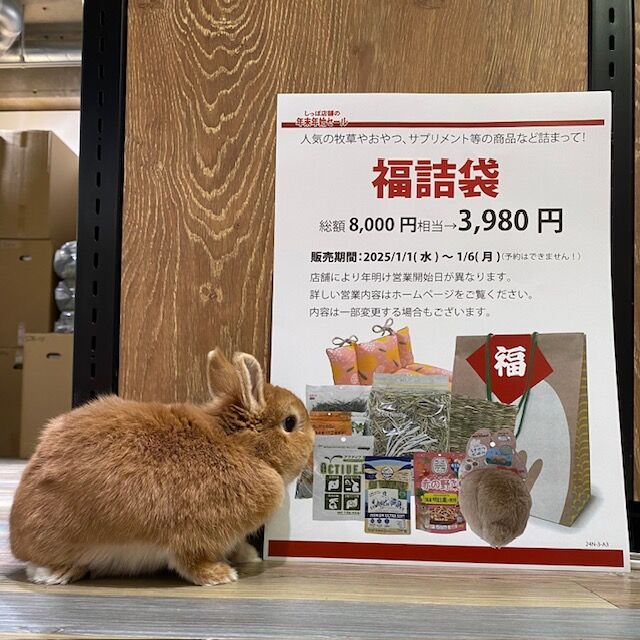 @うさぎ古着店@フォロー割実施!様のみ 福詰袋2025 : うさぎブログ うさぎのしっぽ公式ブログ「日々しっぽ」