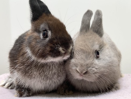 32678008-BAE1-4061-A358-0DE81BB2068D