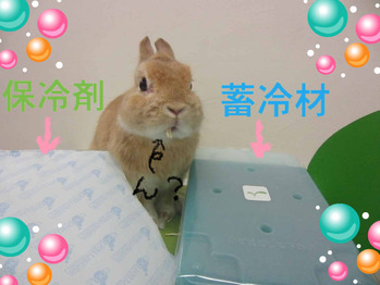 BlogPaint