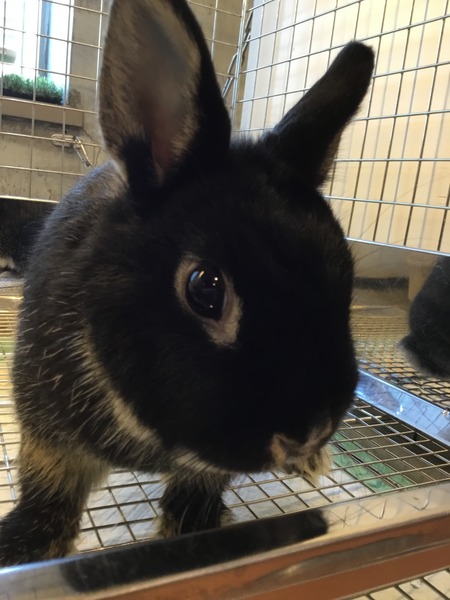 271EBFF0-4B46-4222-9C1C-0F0590002DDF