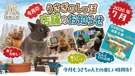 2026-7月のおすすめ動画