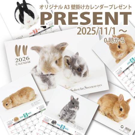 2025年カレンダープレゼントpop