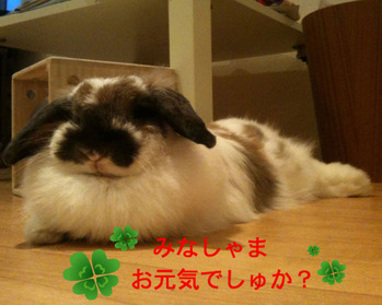 BlogPaint