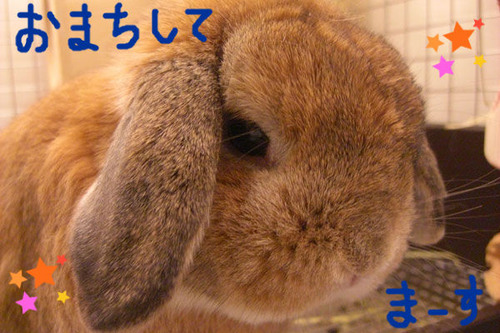 BlogPaint